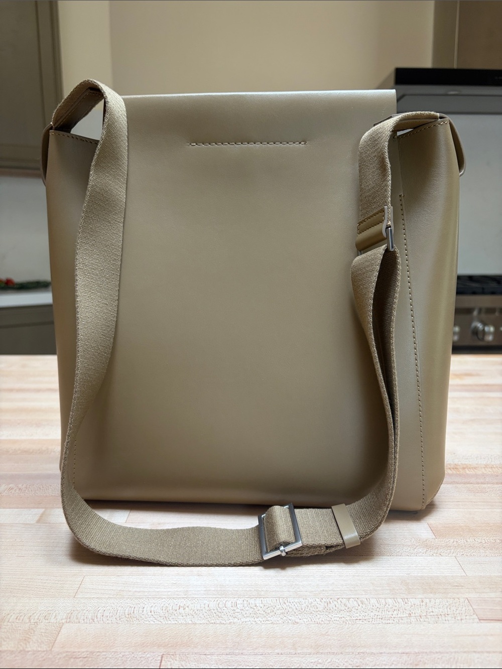 Everlane Leather Crossbody Bag